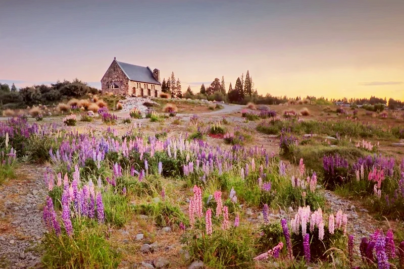 เทคาโป (Lake Tekapo) ทะเลสาบสวรรค์แห่งนิวซีแลนด์