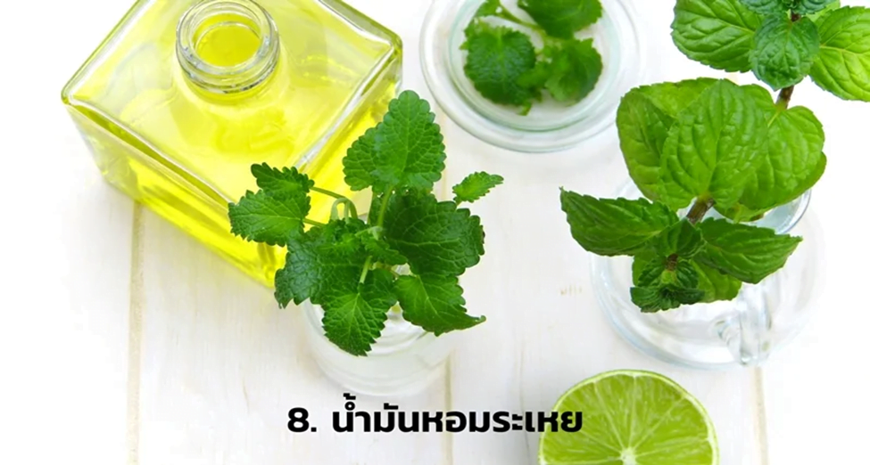 9 เคล็ดลับ ล่องเรือสำราญ