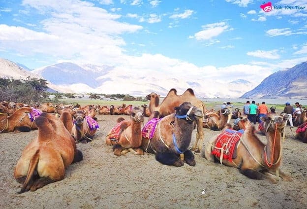 สวยทุกมุม ! 5 พิกัดถ่ายรูปสุดเท่ที่ เลห์ ลาดักห์