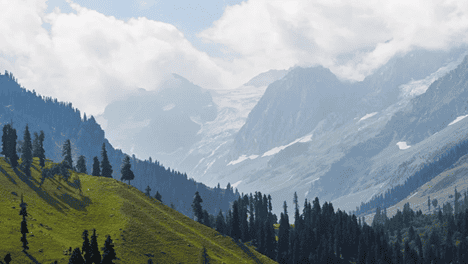 โซนามาร์ค (Sonamarg) ทุ่งทองคำแห่งแคชเมียร์ อินเดีย