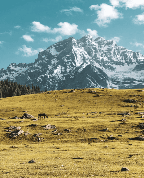 โซนามาร์ค (Sonamarg) ทุ่งทองคำแห่งแคชเมียร์ อินเดีย