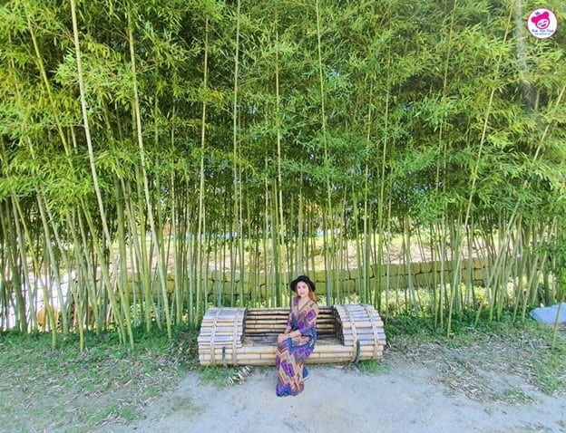Juknokwon Bamboo Garden
